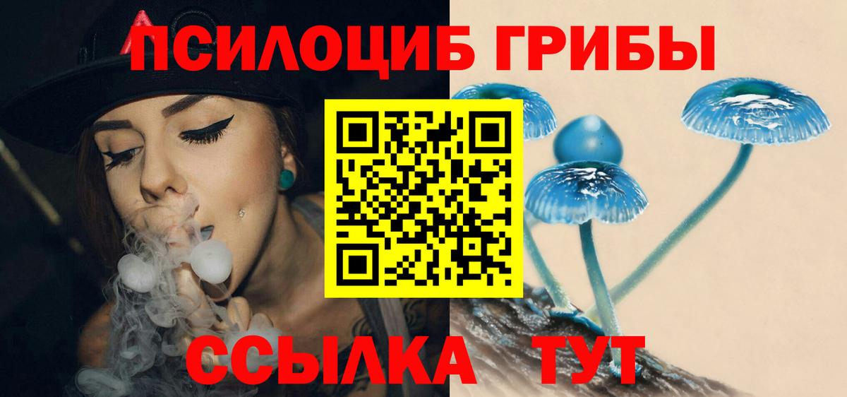 Псилоцибиновые грибы MAGIC MUSHROOMS  Вход с VPN  Сибай 